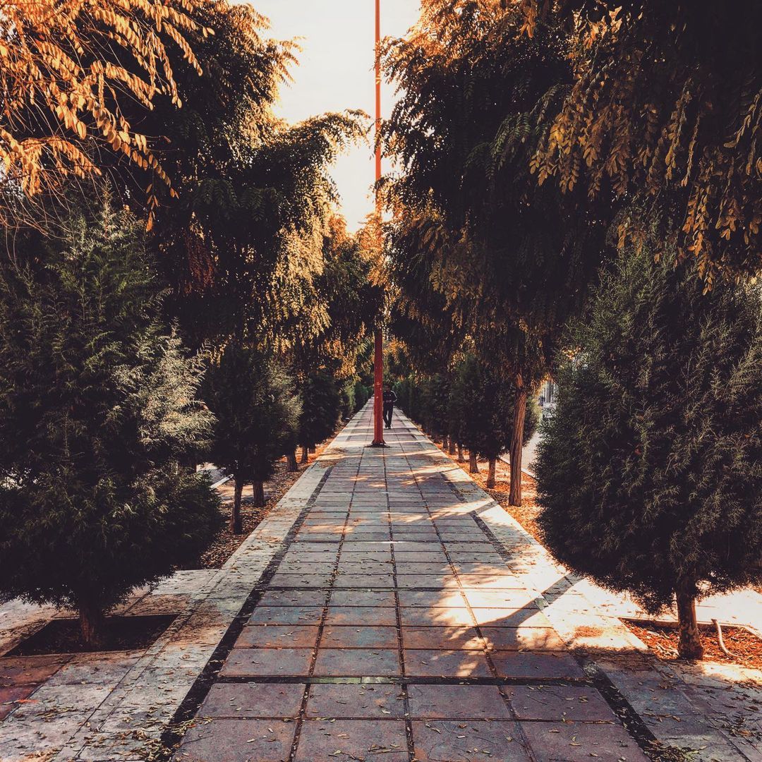 Heasn Mohamadi Gallerys